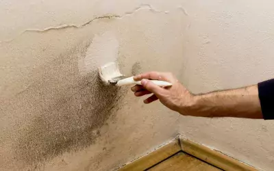 Debunking the Myth: Can You Paint Over Mold?