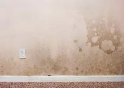 Drywall gets wet